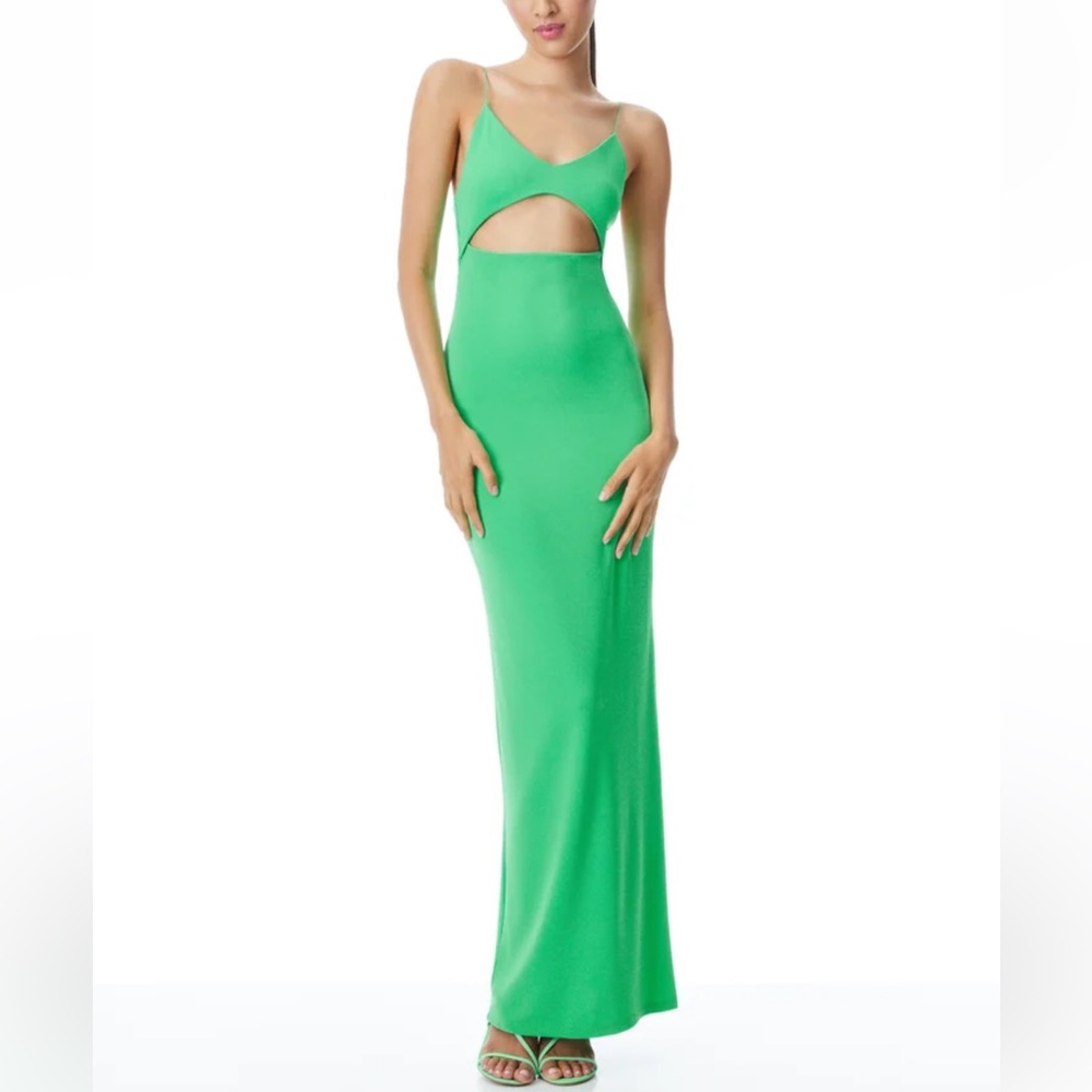 NWT Alice + Olivia Valli Maxi Dress